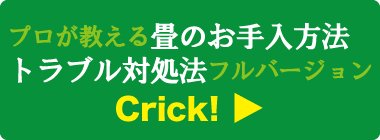 プロが教える畳のお手入方法・トラブル対処法 フル